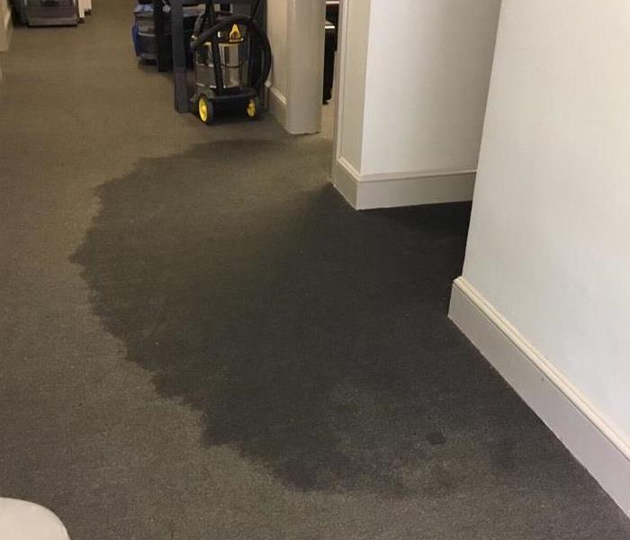 Gray office carpet soaked with water 