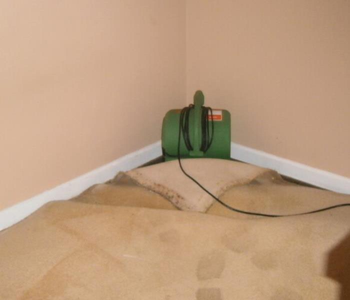 air mover placed under carpet to dry it out 