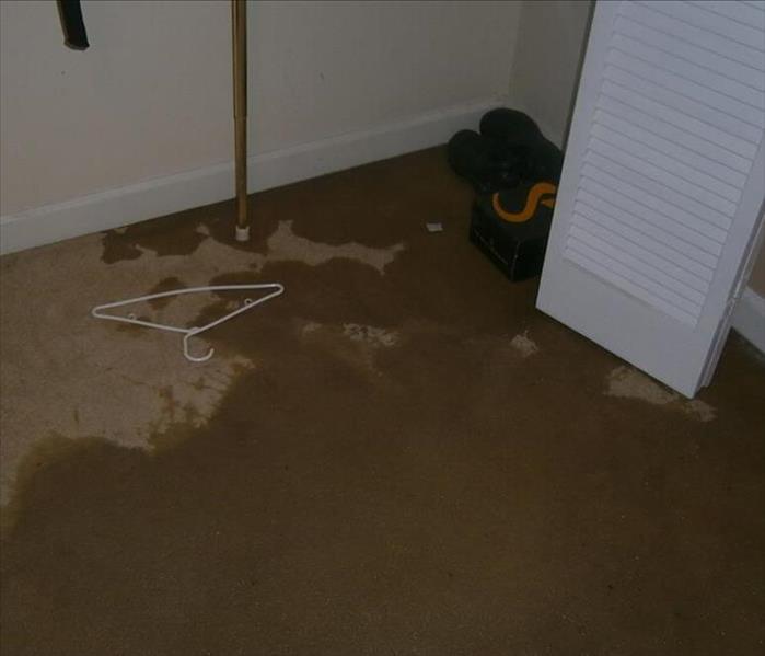 wet beige carpet in basement 