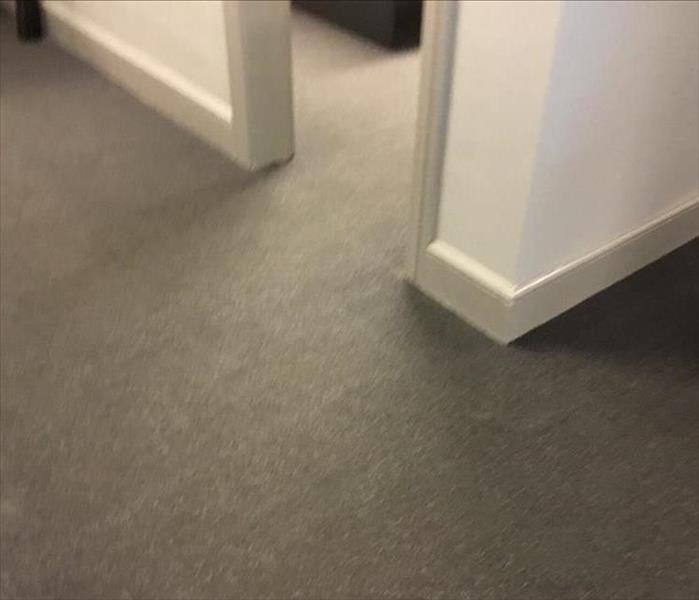 Gray office carpet after being dried 