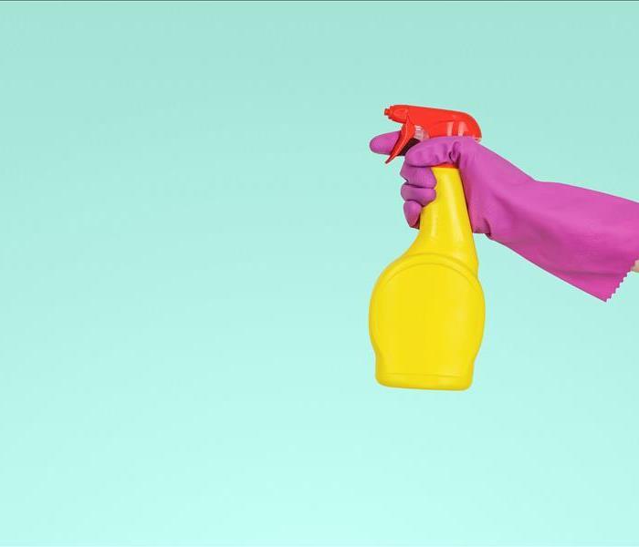 pink glove holding up cleaner 