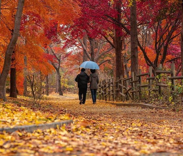 Couple walking in a park during autumn 