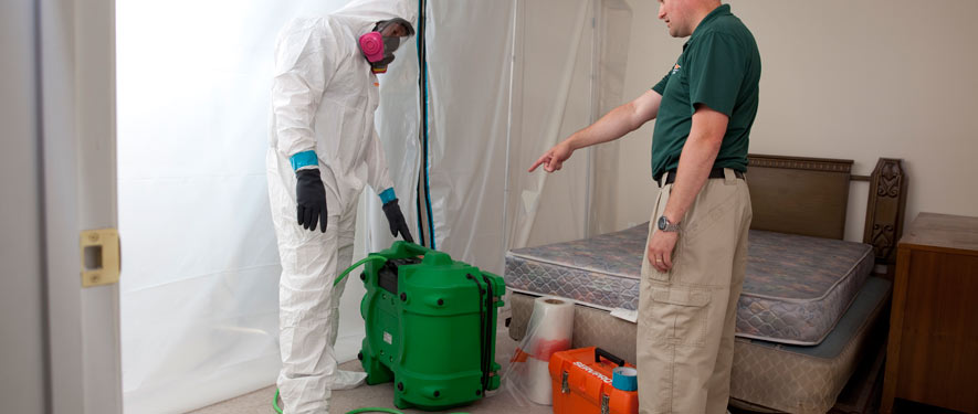 Simpsonville, SC mold removal process
